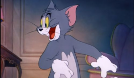 猫和老鼠视频,一场欢乐的追逐战